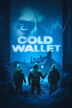 Cold Wallet (2025) Hindi (MULTI AUDIO) – –