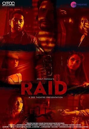 Raid 2019 Hindi Movie - [250MB]