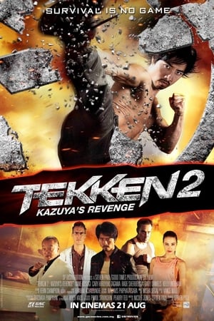 Tekken Kazuyas Revenge 2014 Hindi Dual Audio [900MB]