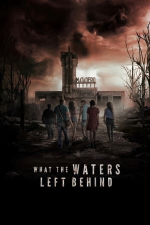 What the Waters Left Behind 2017 Hindi Dual Audio – 480p